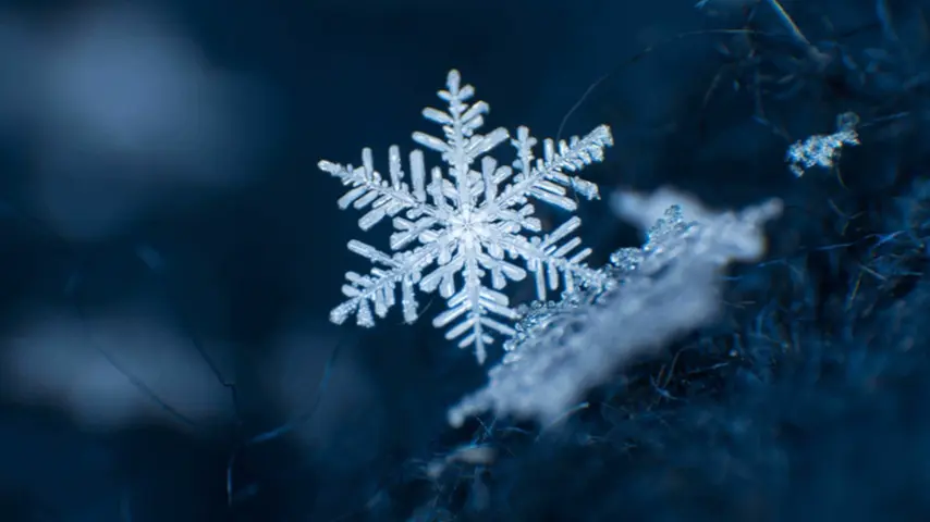 Низкотемпературные смазки